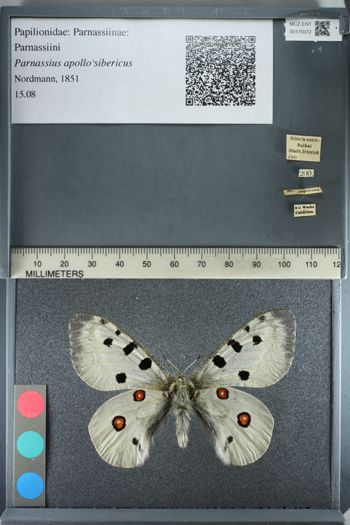 Media type: image;   Entomology 175072